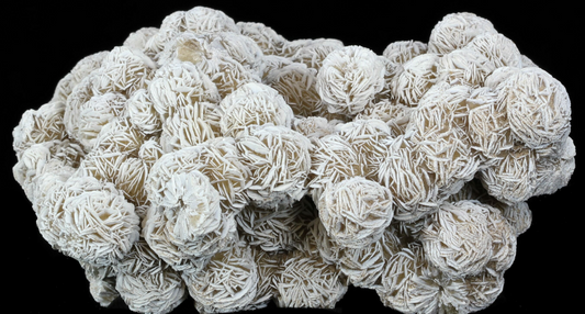 Desert Rose